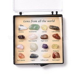 Natural Gemstones Nuggets Collections&nbsp;G-E155-01