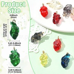 12Pcs 12 Colors Transparent 3D Resin Pendants&nbsp;RESI-CJ0005-29