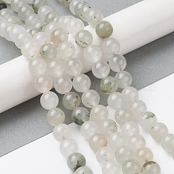 Natural Tianshan Cui Quartzite Beads Strands&nbsp;G-C102-B02-02