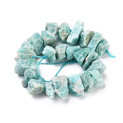 Natural Amazonite Beads Strands&nbsp;G-I283-F01