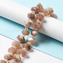 Natural Sunstone Beads Strands&nbsp;G-B027-A03