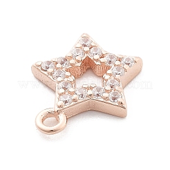 925 Sterling Silver Micro Pave Clear Cubic Zirconia Charms&nbsp;LS-STER-A034-02C-RG