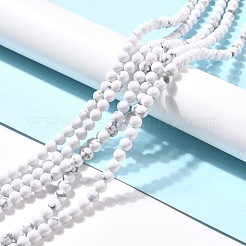 Synthetic Howlite Beads Strands&nbsp;G-E568-04A