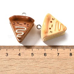 Cute Opaque Resin Pendants&nbsp;RESI-S014-01