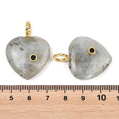 Natural Labradorite Pendants&nbsp;G-D104-01G-10