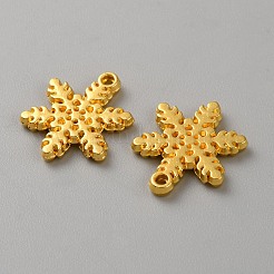 Alloy Charms&nbsp;FIND-WH20003-24G