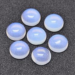 Opalite Cabochons&nbsp;G-P215-01-10mm