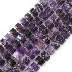 Natural Banded Amethyst Beads Strands&nbsp;G-K245-C02-08