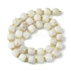 Natural Moonstone Beads Strands&nbsp;G-Q010-A05-01