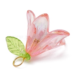 6Pcs Transparent Acrylic Pendants&nbsp;PALLOY-JF02300-01