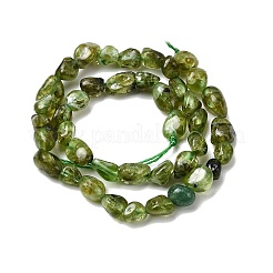 Natural Peridot Beads Strands&nbsp;G-P601-A01-01