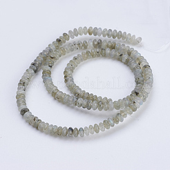 Natural Labradorite Beads Strands&nbsp;G-P354-01-4x2mm