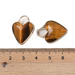 Natural Tiger Eye Faceted Pendans&nbsp;KK-L218-005G-01
