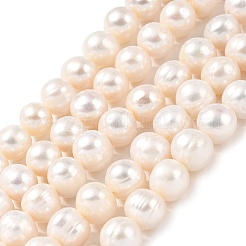 Natural Cultured Freshwater Pearl Beads Strands&nbsp;PEAR-I007-07U-04B
