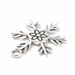Tibetan Style Alloy Pendants&nbsp;PALLOY-B014-06