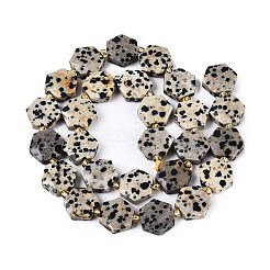 Natural Dalmatian Jasper Beads Strands&nbsp;G-N368-01A-03
