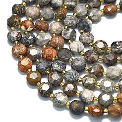 Natural Fossil Coral Beads Strands&nbsp;G-C116-A132-01