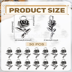 30Pcs Tibetan Style Alloy Pendants&nbsp;FIND-LP0004-68AS