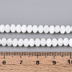 Natural Freshwater Shell Beads Strands&nbsp;SHEL-N038-30