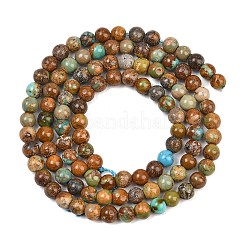Natural African Turquoise(Jasper) Beads Strands&nbsp;G-Z163-B02-4mm