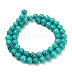Natural Howlite Beads Strands&nbsp;G-Z149-A01-8mm