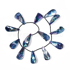 AB Color Plated Dyed Natural Freshwater Shell Beads Strands&nbsp;SHEL-T020-55C