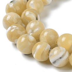 Natural Trochus Shell Beads Strands&nbsp;BSHE-P033-03A