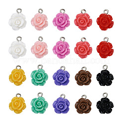 Opaque Resin Pendants&nbsp;RESI-CD0001-02
