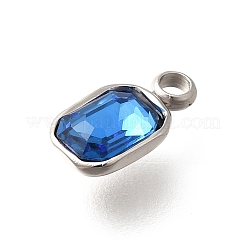 304 Stainless Steel Pendants&nbsp;STAS-Q346-03P-02