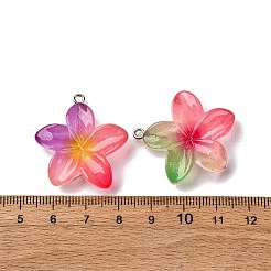Transparent Resin Pendants&nbsp;RESI-A046-05F