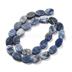 Natural Blue Spot Jasper Beads Strands&nbsp;G-P559-B26-01