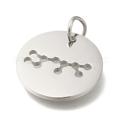 Anti-Tarnish 304 Stainless Steel Pendants&nbsp;STAS-M074-02J-P
