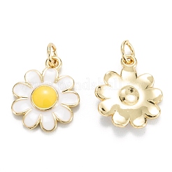 Brass Enamel Pendants&nbsp;KK-M220-04G-B