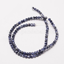 Natural Sodalite Round Bead Strands&nbsp;X-G-P072-27-4mm