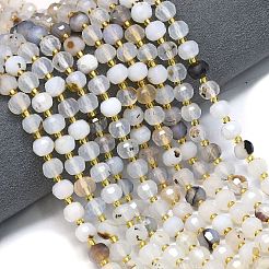 Natural Dendritic Agate Beads Strands&nbsp;G-K389-E61-01