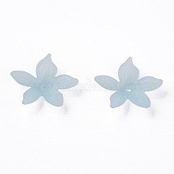Transparent Acrylic Beads&nbsp;MACR-S373-127-D02