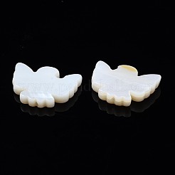 Natural Freshwater Shell Beads&nbsp;SHEL-N026-76-01
