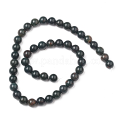 Natural Indian Bloodstone Beads Strands&nbsp;G-G954-02-8mm