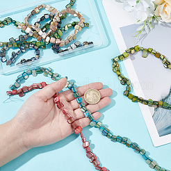 6 Strands 6 Colors Erose Shell Beads Strands&nbsp;BSHE-HY0001-05