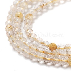 Natural Gold Rutilated Quartz Beads Strands&nbsp;G-G161-A17-05