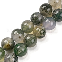Natural Moss Agate Beads Strands&nbsp;G-J358-01-10MM