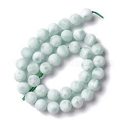 Frosted Natural Glass Beads Strands&nbsp;G-I247-15K