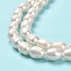 Natural Cultured Freshwater Pearl Beads Strands&nbsp;PEAR-E016-181A