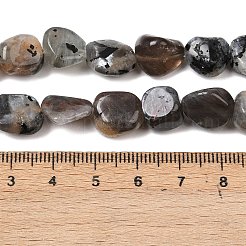 Natural Moonstone Beads Strands&nbsp;G-A284-A01-02