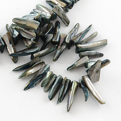Erose Natural Shell Beads Strands&nbsp;PBB064Y-01