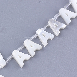 Natural Sea Shell Beads&nbsp;SHEL-T012-60A