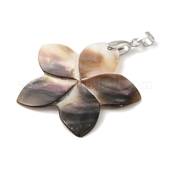 Natural Black Lip Shell Pendants&nbsp;SHEL-M019-03P