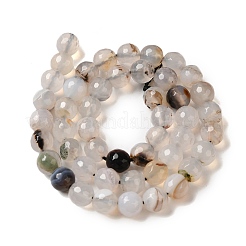 Dyed & Heated Natural Agate Beads Strands&nbsp;G-P539-D01-04