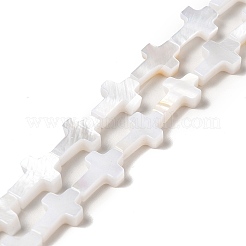 Natural Freshwater Shell Beads Strands&nbsp;BSHE-E026-18