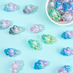 30Pcs Transparent Acrylic European Beads&nbsp;OACR-SC0002-72
